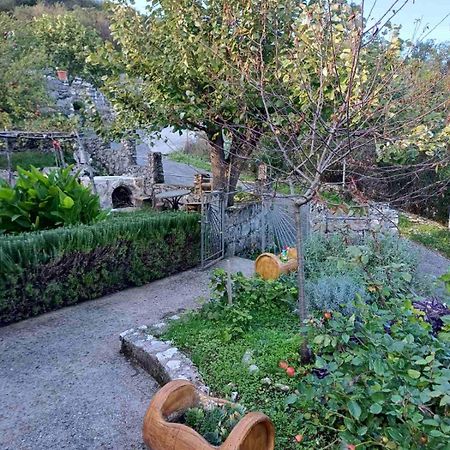 Country House "Lipa" Komarno Virpazar Eksteriør bilde