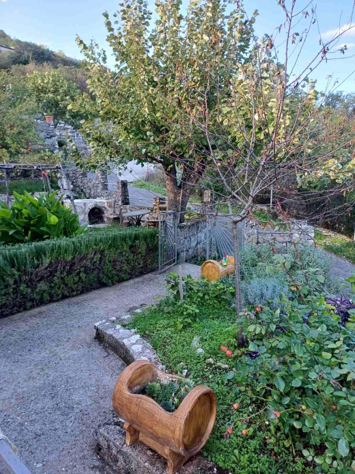 Country House "Lipa" Komarno Virpazar Eksteriør bilde