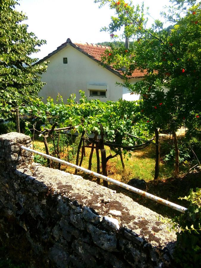 Country House "Lipa" Komarno Virpazar Eksteriør bilde
