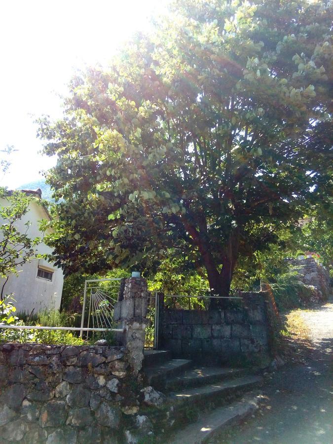 Country House "Lipa" Komarno Virpazar Eksteriør bilde
