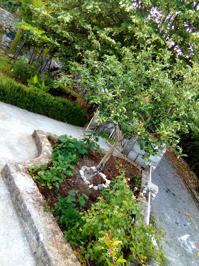 Country House "Lipa" Komarno Virpazar Eksteriør bilde